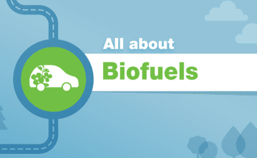 All about biofuels
